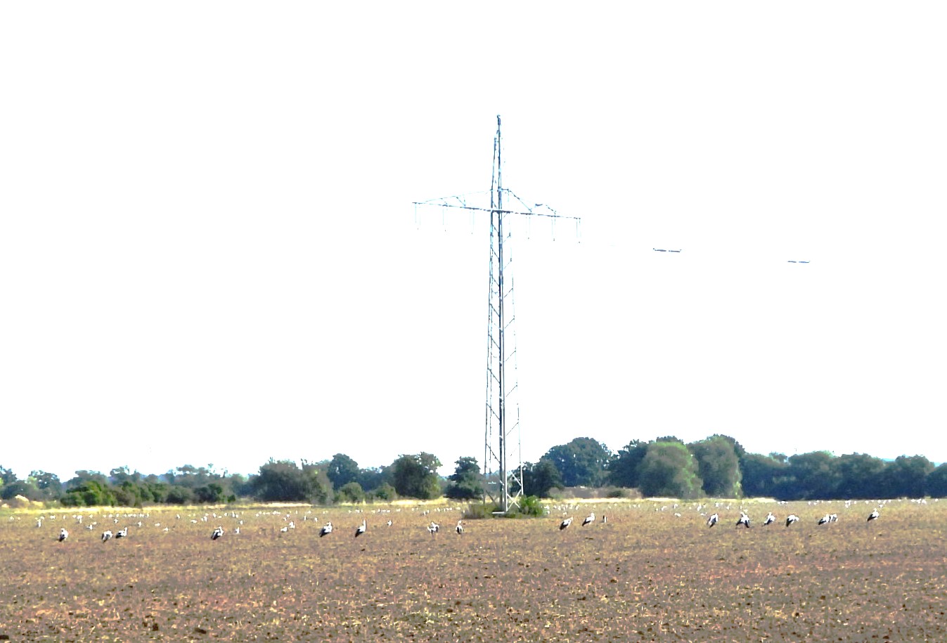 01.09. bei Seifertshain 