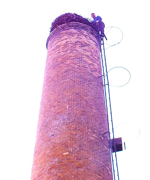 10.05.2014 in Roitzschjora 