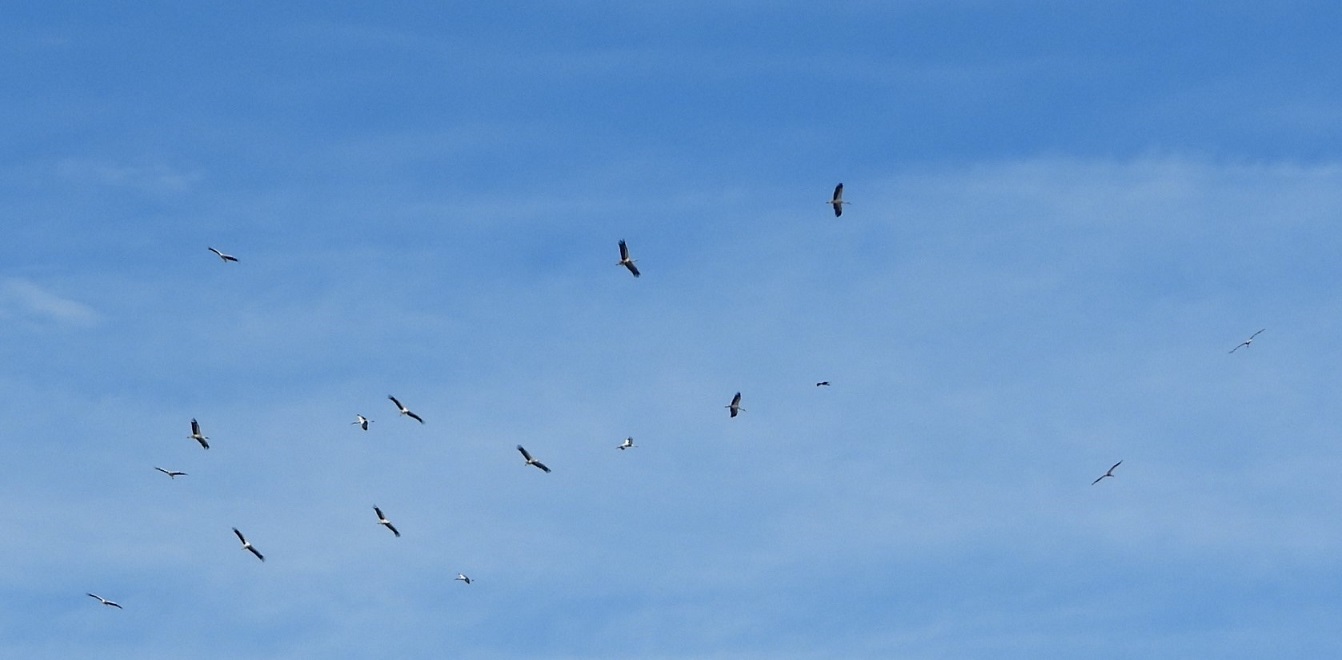 Abflug 1