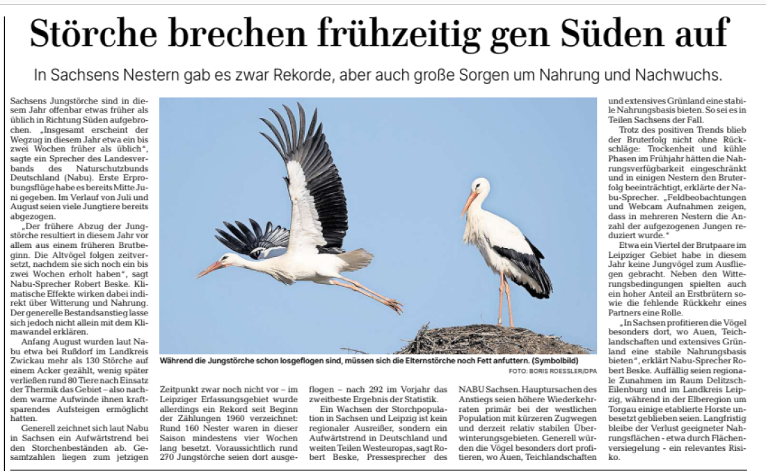 Artikel Beske geklautes Wissen 22.08. 25