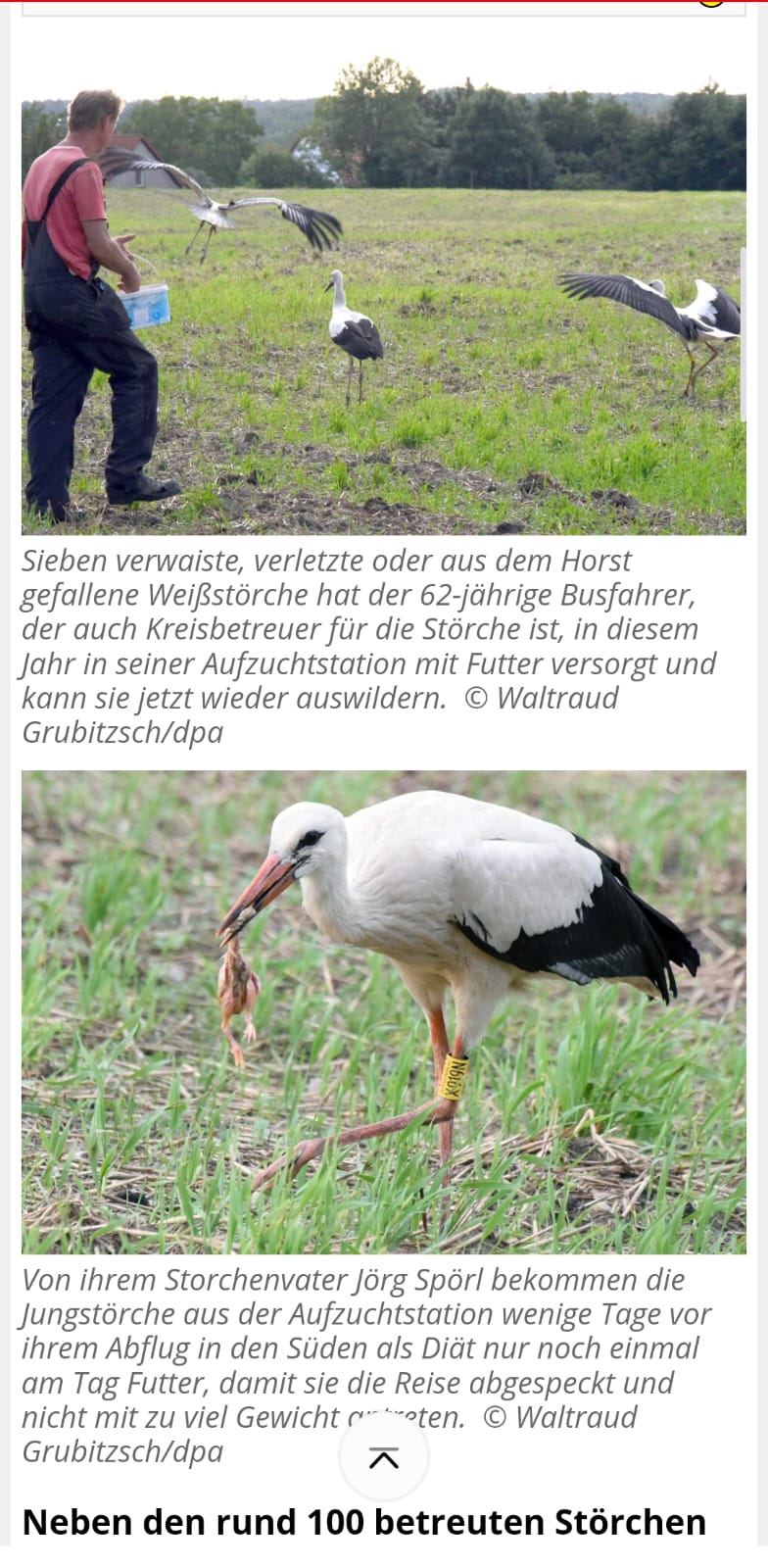 Artikel über Jörg 