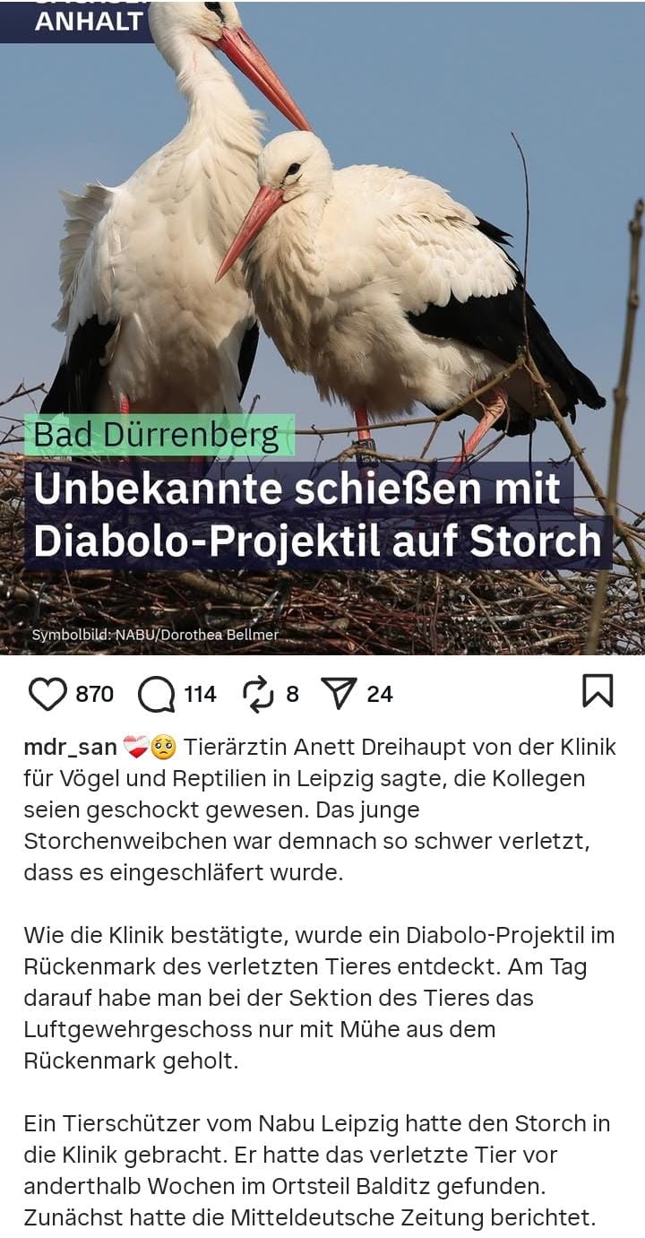 Balditz Schussopfer 