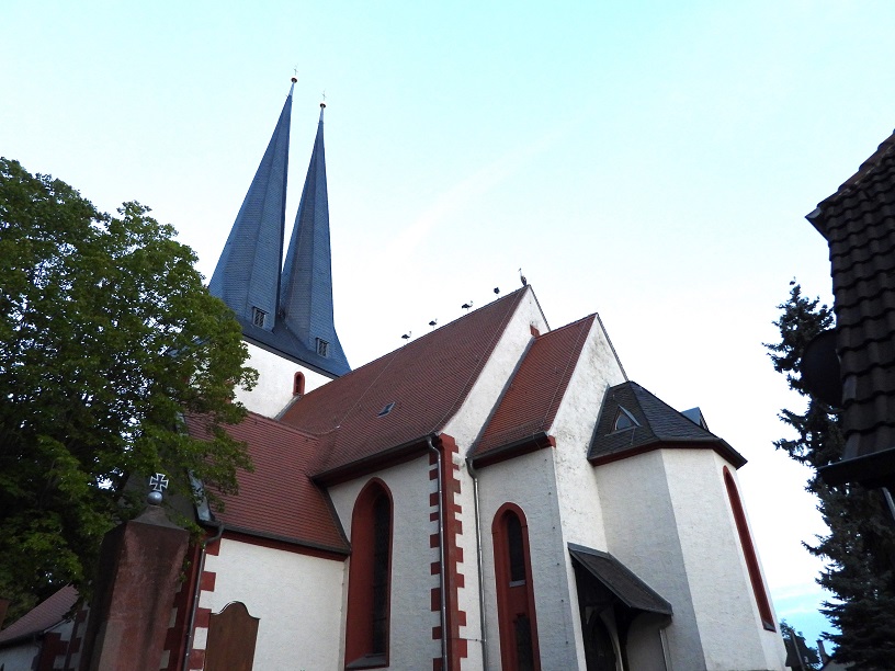 Greifenhain Schlafplatz 