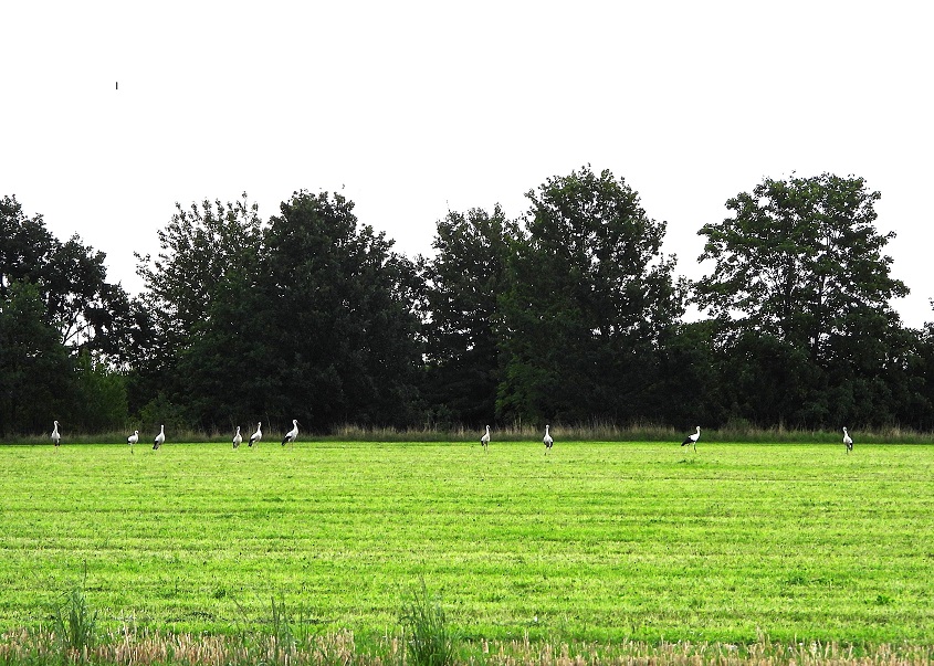 bei Elbisbach 8